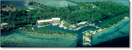 Aerial view of Coconut Island