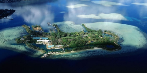 Aerial view of Mku o Loe